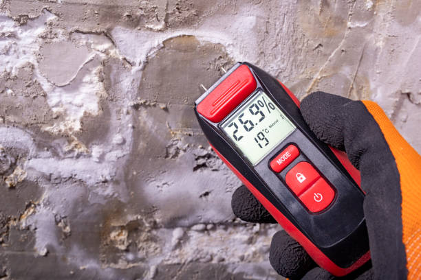 Best Mold Testing  in Tremonton, UT