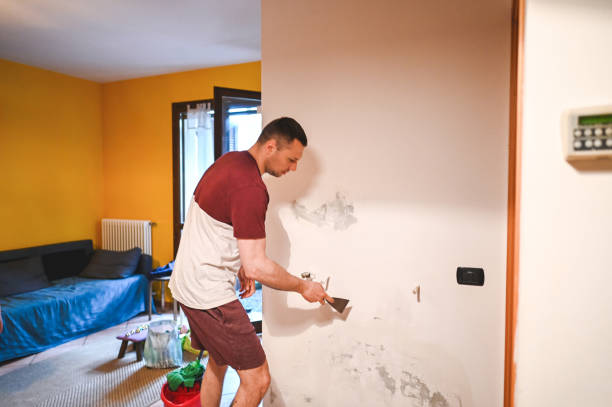 Best Mold Removal Company Near Me  in Tremonton, UT